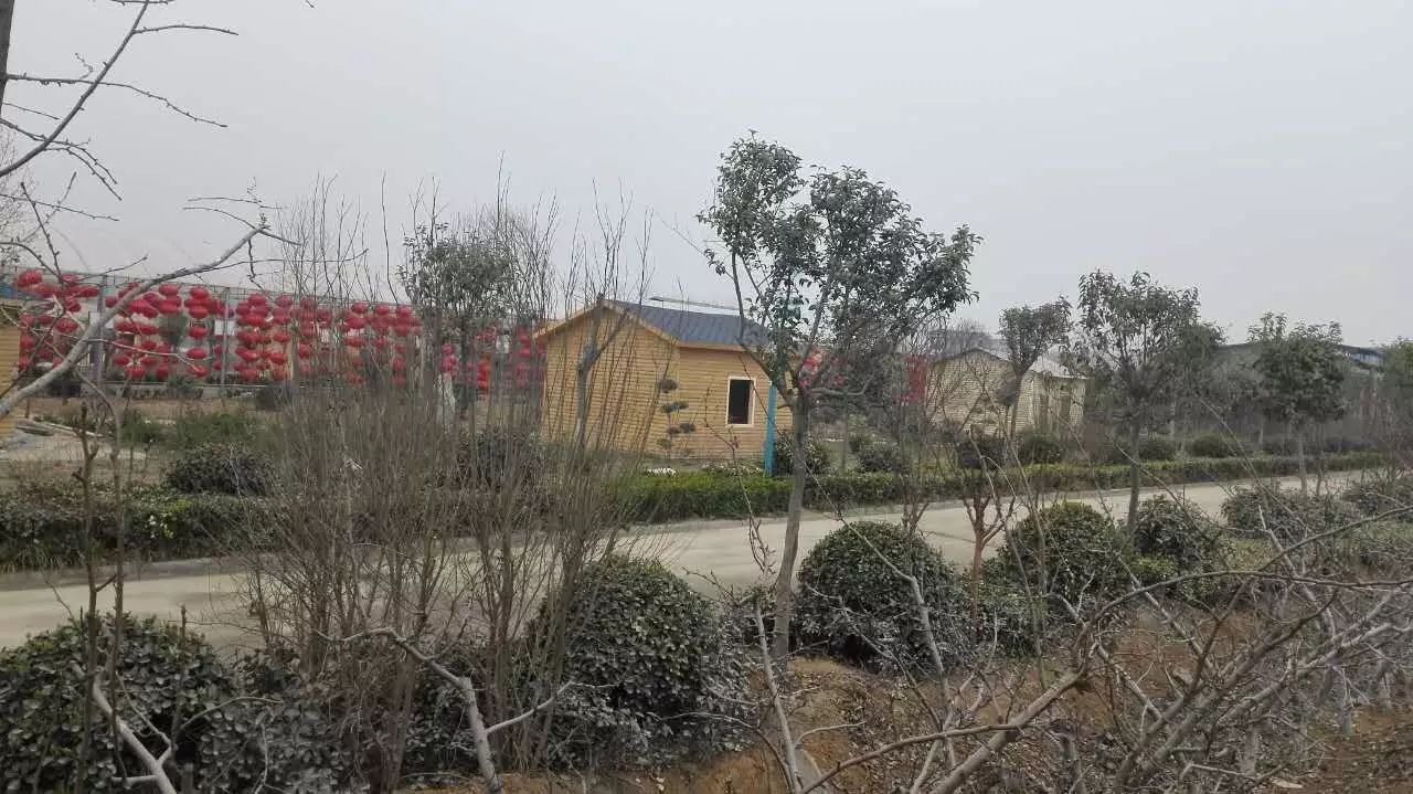 济源婚庆民俗介绍_济源婚庆公司哪个比较好_民俗婚庆济源介绍文案