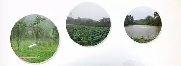 济源婚庆民俗介绍_民俗婚庆济源介绍文案_济源婚庆公司哪个比较好