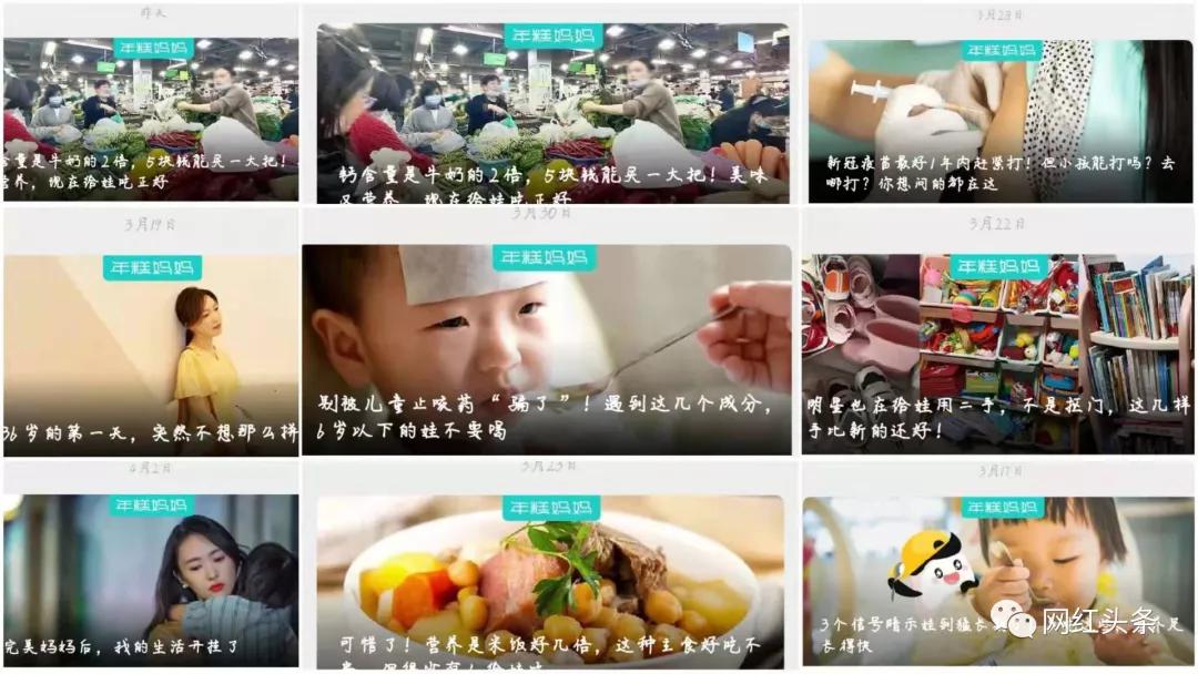 明星没有常识_常识明星无生活怎么办_无生活常识的明星