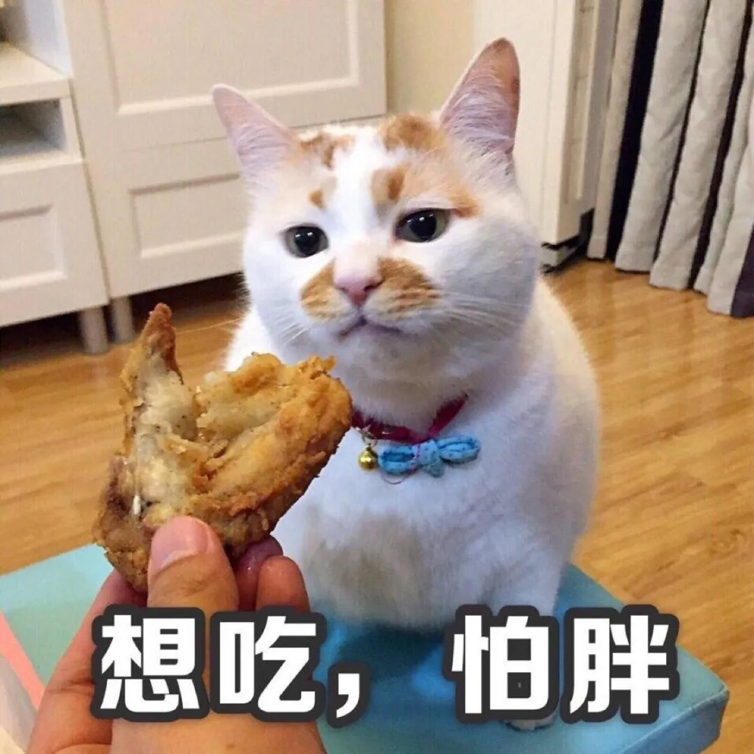 减肥餐营养师_营养师减脂餐有用吗_营养师方可-减脂餐