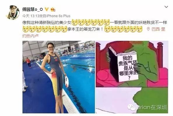 搞笑游泳运动员表情包_搞笑游泳_游泳冠军 表情包搞笑