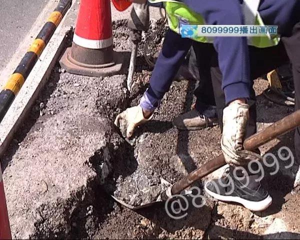 驾驶机动车在车道减少的路口_非机动车道婚纱照拍摄时间_机动车在车道减少的路口