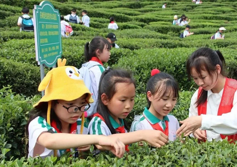 探秘黔南民族职业技术学院：校旅融合与茶文