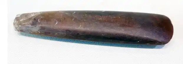 远古人类生活艰难的原因是什么_远古人类过怎样的生活方式_远古人类的生活方式