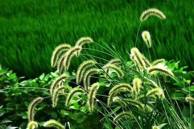 远古人类过怎样的生活方式_远古人类生活艰难的原因是什么_远古人类的生活方式