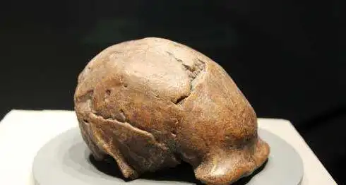 远古人类过怎样的生活方式_远古人类的生活方式_远古人类生活艰难的原因是什么