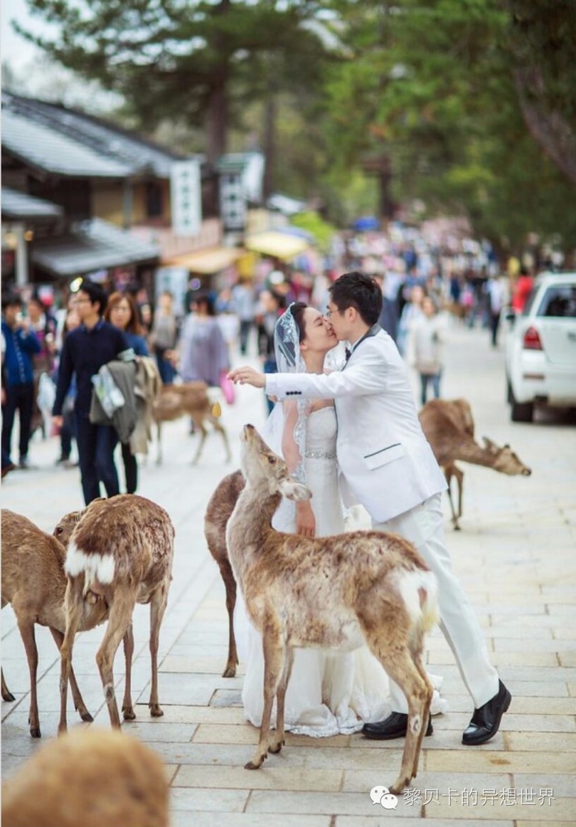 惊艳男生头像_惊艳的婚纱照_个性惊艳婚纱照男生图片