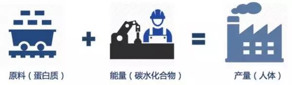 健身教练营养学_健身教练需要吃哪些补剂_健身教练怎么补充营养