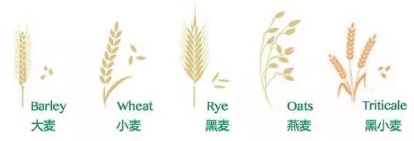 健身教练怎么补充营养_健身教练营养学_健身教练需要吃哪些补剂