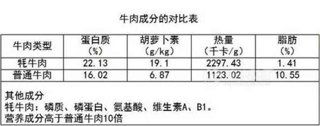 健身教练需要吃哪些补剂_健身教练营养学_健身教练怎么补充营养