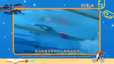 接力游泳比赛视频_游泳接力比赛规则_接力游泳犯规