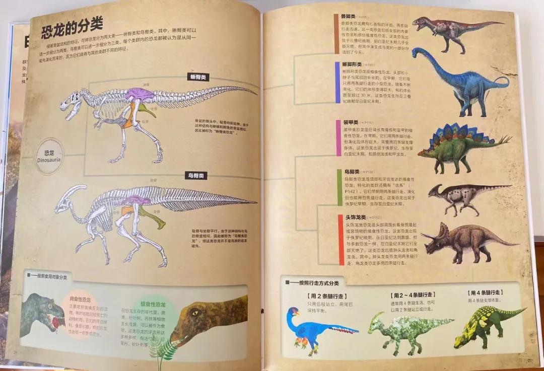 巧妙生活_生活巧门大百科_生活小巧门视频