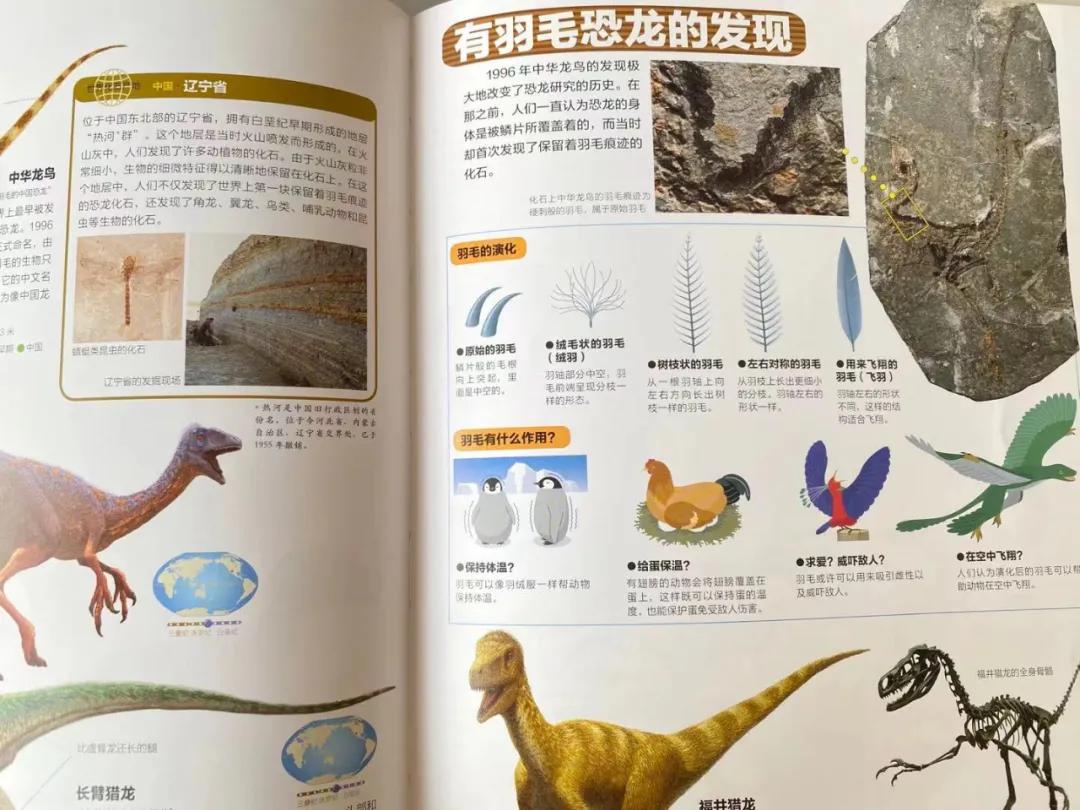 巧妙生活_生活小巧门视频_生活巧门大百科