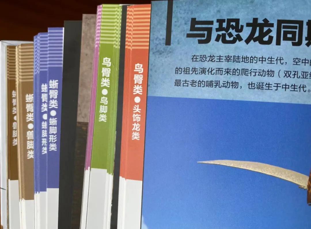 生活巧门大百科_生活小巧门视频_巧妙生活