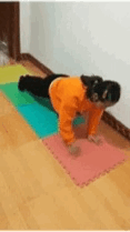 篮球中背打什么意思_篮球规则中背打是什么_篮球规则背打中是犯规吗