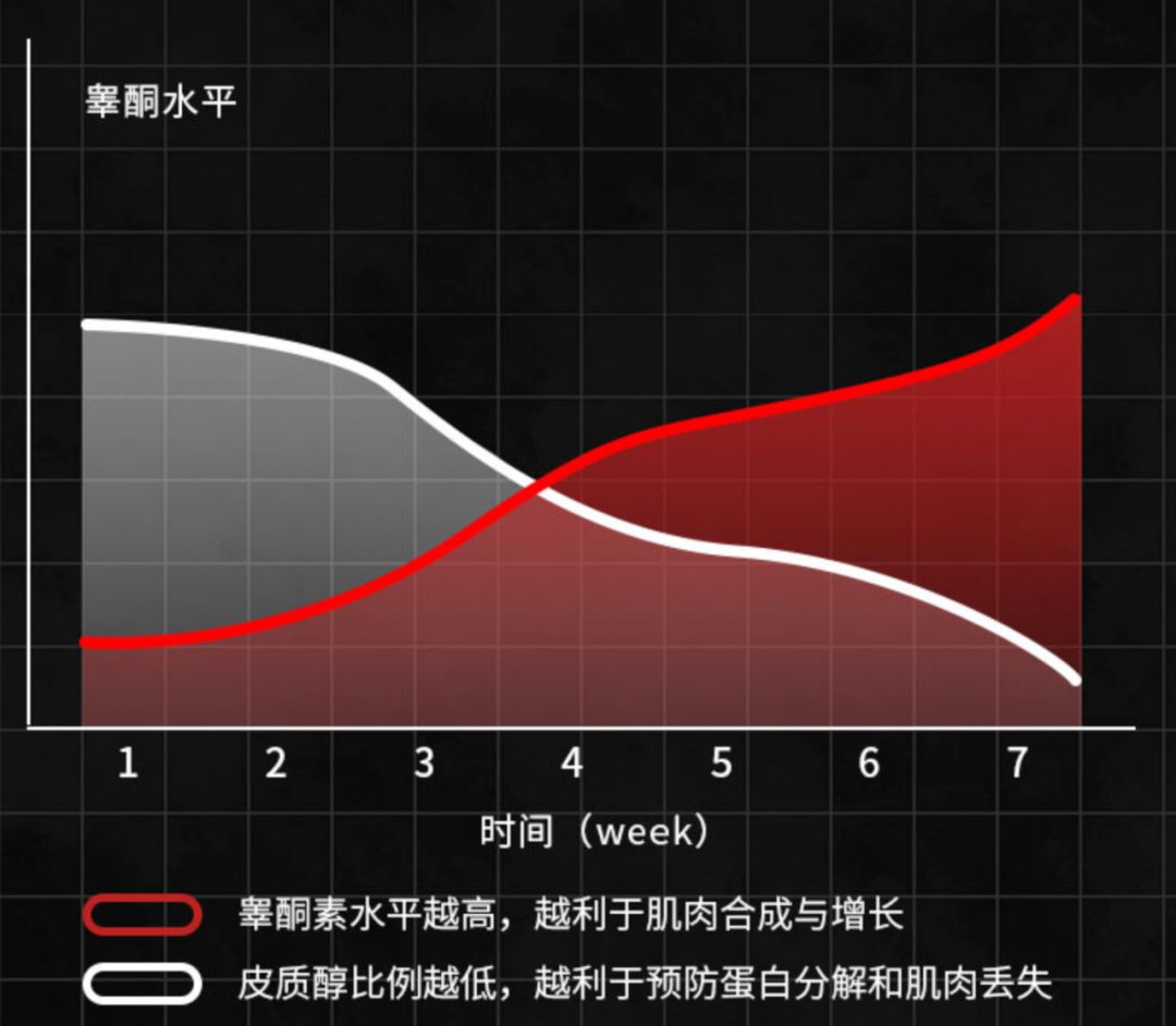 促睾健身房运动方法_促睾健身房运动方法_促睾健身房运动方法