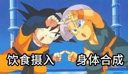 促睾健身房运动方法_促睾健身房运动方法_促睾健身房运动方法