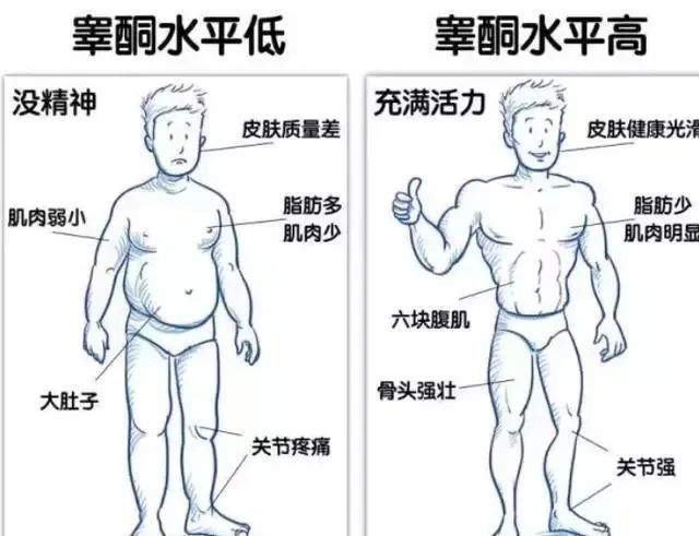 促睾健身房运动方法_促睾健身房运动方法_促睾健身房运动方法
