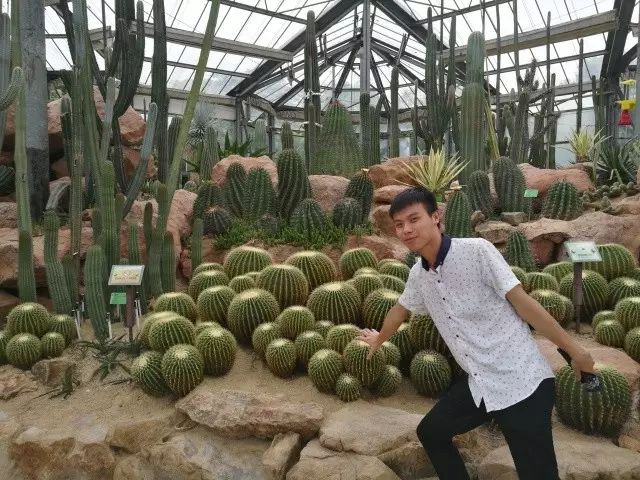 蛋糕足球_足球蛋糕球技巧女生版教学_蛋糕足球图案
