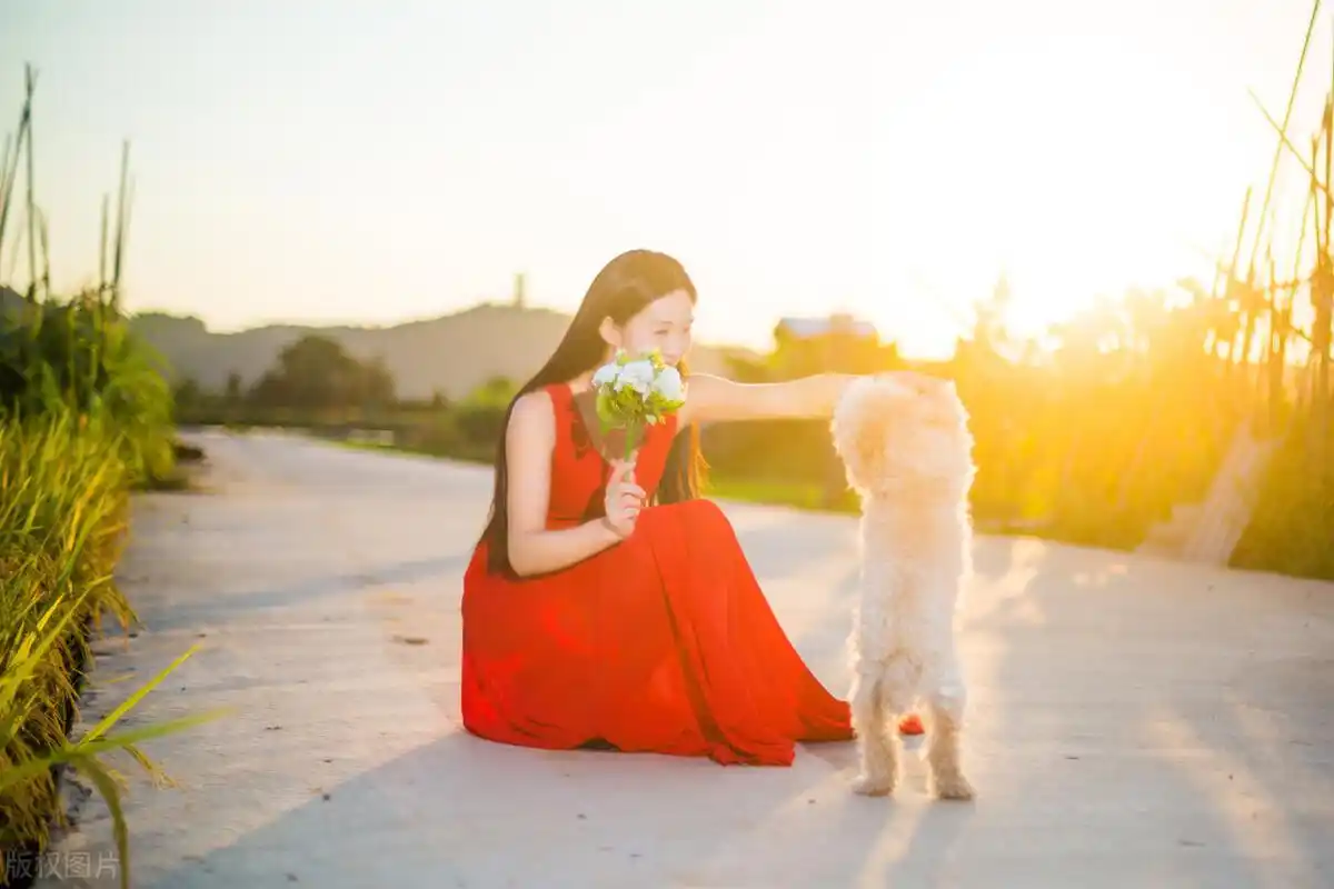 好相处夫妻关系怎么形容_夫妻最好的相处关系_夫妻关系好如何相处才好