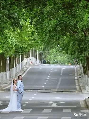 青岛拍婚纱照最佳时间_青岛拍婚纱照几月份合适_青岛婚纱照什么时间拍比较好