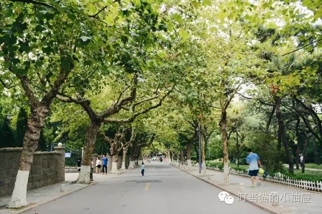 青岛拍婚纱照好看吗_青岛婚纱照什么时间拍比较好_拍婚纱照去青岛什么价位