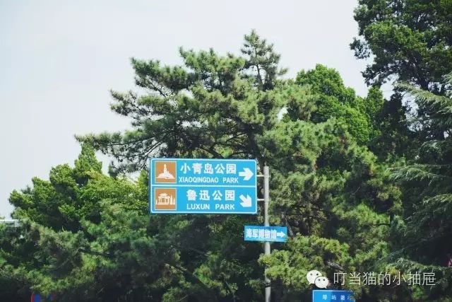 拍婚纱照去青岛什么价位_青岛拍婚纱照好看吗_青岛婚纱照什么时间拍比较好