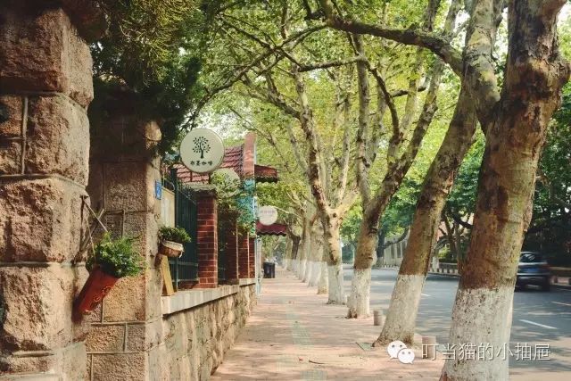 拍婚纱照去青岛什么价位_青岛婚纱照什么时间拍比较好_青岛拍婚纱照好看吗