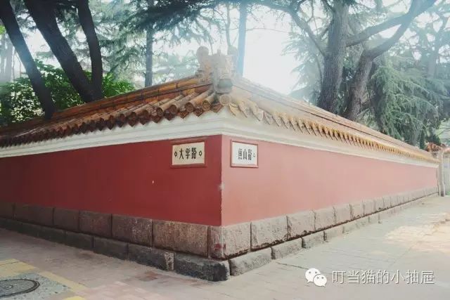 拍婚纱照去青岛什么价位_青岛婚纱照什么时间拍比较好_青岛拍婚纱照好看吗