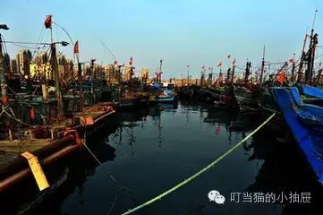 青岛拍婚纱照好看吗_青岛婚纱照什么时间拍比较好_拍婚纱照去青岛什么价位