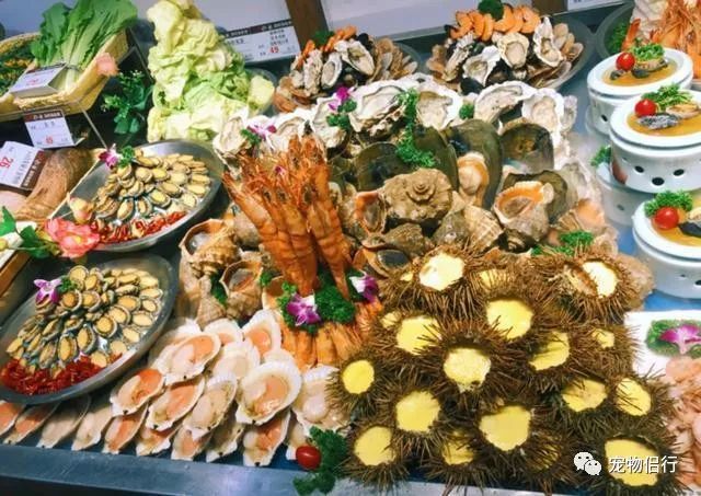 青岛拍婚纱照最佳时间_青岛拍婚纱照几月份合适_青岛婚纱照什么时间拍比较好