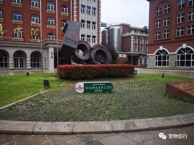 青岛拍婚纱照最佳时间_青岛拍婚纱照几月份合适_青岛婚纱照什么时间拍比较好