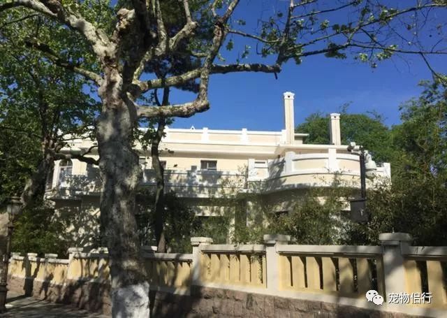 青岛拍婚纱照几月份合适_青岛婚纱照什么时间拍比较好_青岛拍婚纱照最佳时间