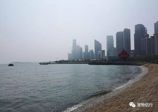 青岛拍婚纱照几月份合适_青岛婚纱照什么时间拍比较好_青岛拍婚纱照最佳时间