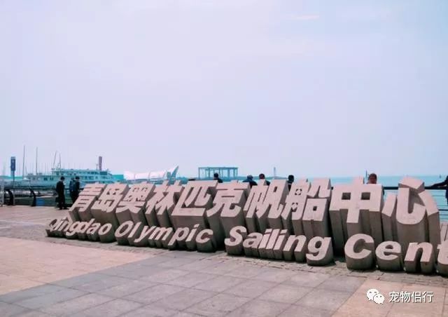 青岛拍婚纱照几月份合适_青岛拍婚纱照最佳时间_青岛婚纱照什么时间拍比较好