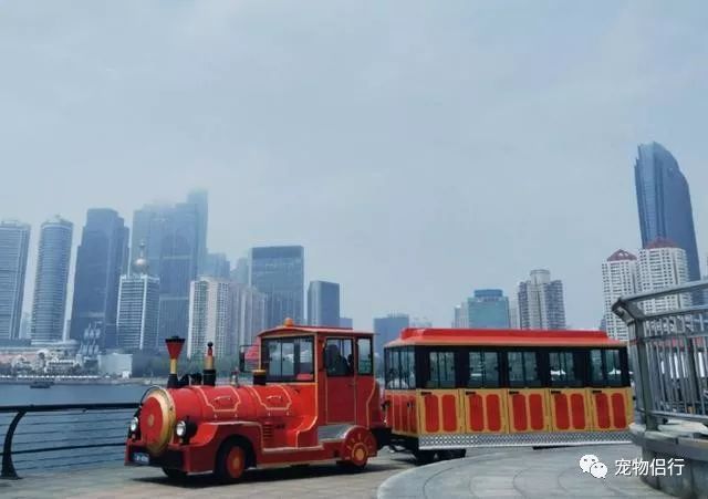 青岛拍婚纱照几月份合适_青岛婚纱照什么时间拍比较好_青岛拍婚纱照最佳时间