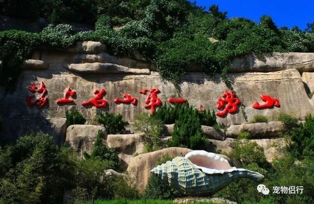 青岛拍婚纱照几月份合适_青岛婚纱照什么时间拍比较好_青岛拍婚纱照最佳时间