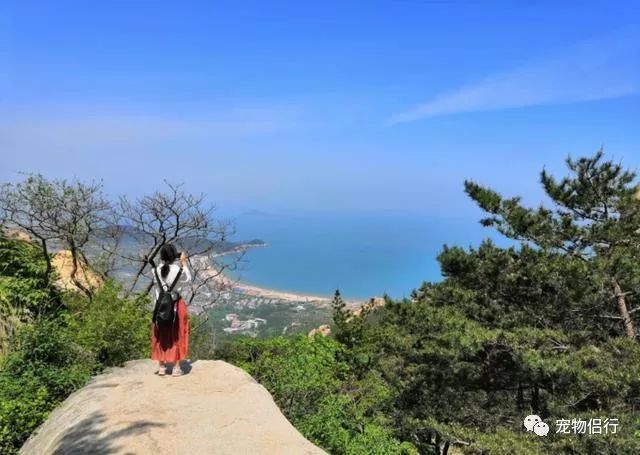 青岛拍婚纱照几月份合适_青岛婚纱照什么时间拍比较好_青岛拍婚纱照最佳时间