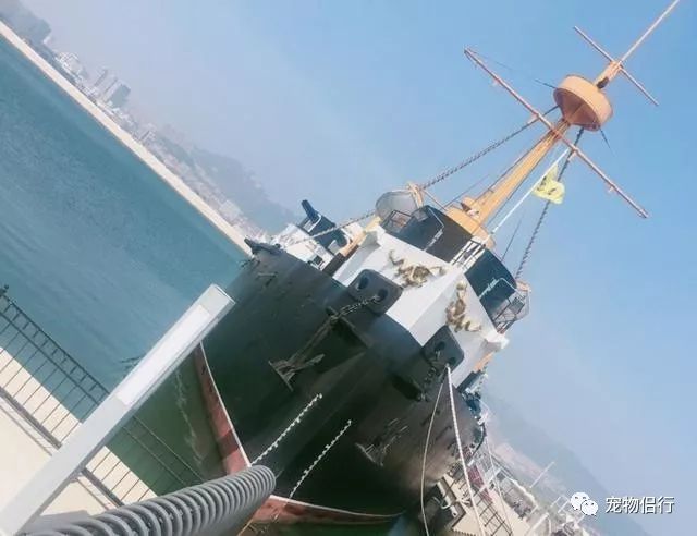 青岛拍婚纱照最佳时间_青岛拍婚纱照几月份合适_青岛婚纱照什么时间拍比较好