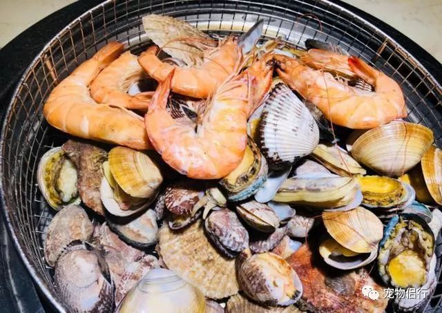 青岛拍婚纱照最佳时间_青岛婚纱照什么时间拍比较好_青岛拍婚纱照几月份合适