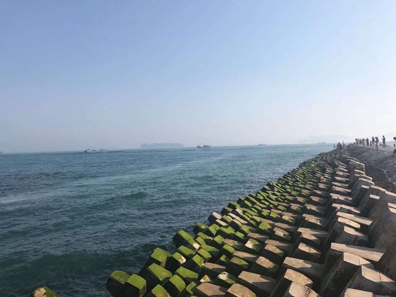 青岛拍婚纱照最佳时间_青岛拍婚纱照几月份合适_青岛婚纱照什么时间拍比较好