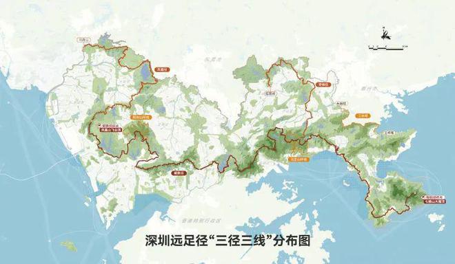 帮我搜索游泳奥运冠军_游泳比赛奥运冠军_奥运会游泳冠军图片