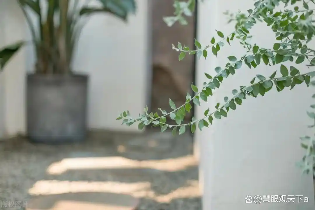 夫妻矛盾的3个原因_夫妻矛盾根源_原因夫妻矛盾如何解决