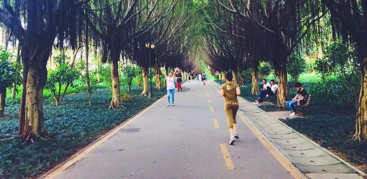跑马拉松短裤里面穿内裤吗_马拉松跑步内裤_跑马拉松穿什么内裤