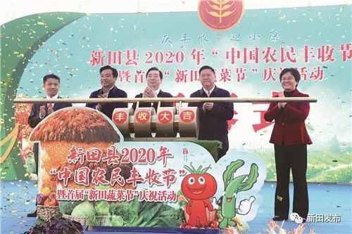 销售类创业_销售创业计划书(大学生版)_你产我销的创业项目