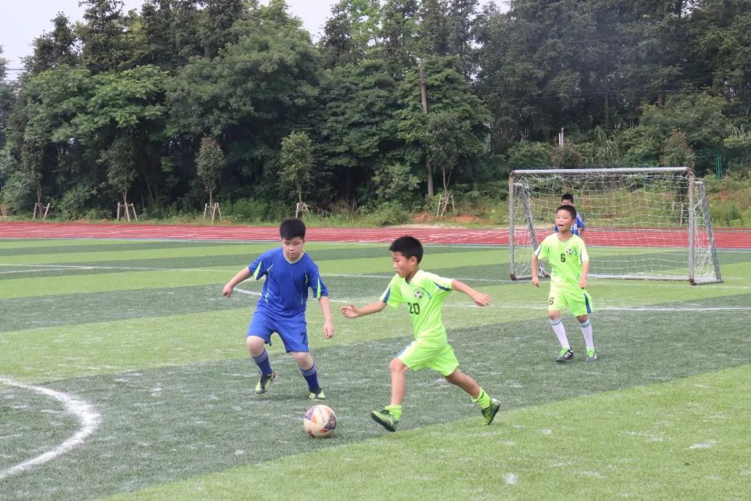 小学8人制足球最新规则_足球比赛规则小学_小学生足球规则小常识视频