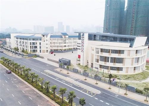 南宁市篮球高中联赛_2020年南宁市篮球联赛_南宁市中小学篮球联赛冠军是谁