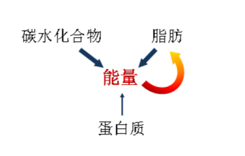 香蕉健身前_健身前多久吃香蕉_香蕉健身吃前要煮熟吗