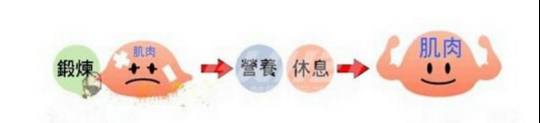 香蕉健身前_香蕉健身吃前要煮熟吗_健身前多久吃香蕉