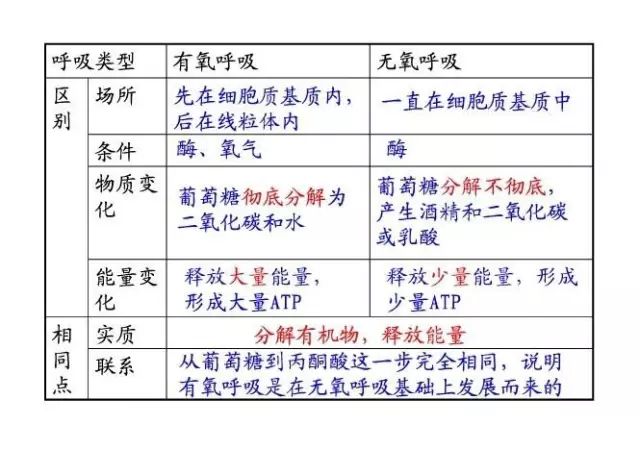 氧运动有哪些项目_氧运动是指哪些运动_那是有氧运动